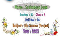 FP00254 School Font Page Style #4